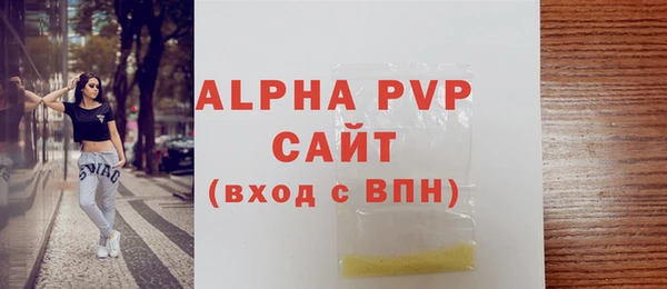 PSILOCYBIN Бородино