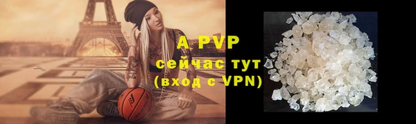 PSILOCYBIN Бородино