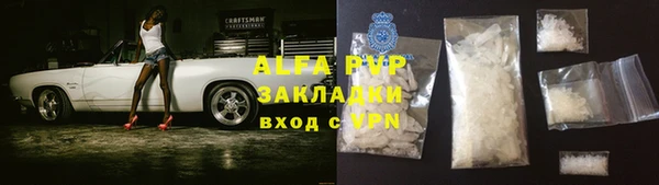 PSILOCYBIN Бородино