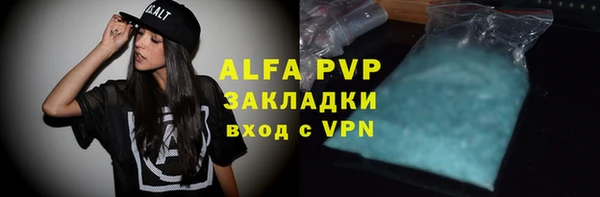 PSILOCYBIN Бородино