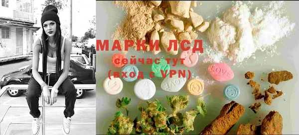 PSILOCYBIN Бородино