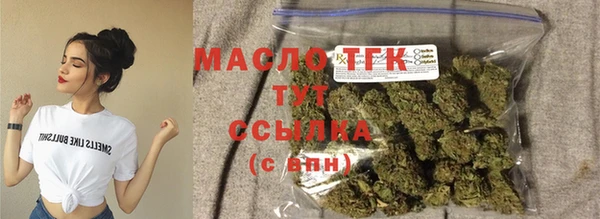 PSILOCYBIN Бородино
